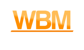 Perfil WBM antigo e1673564938320