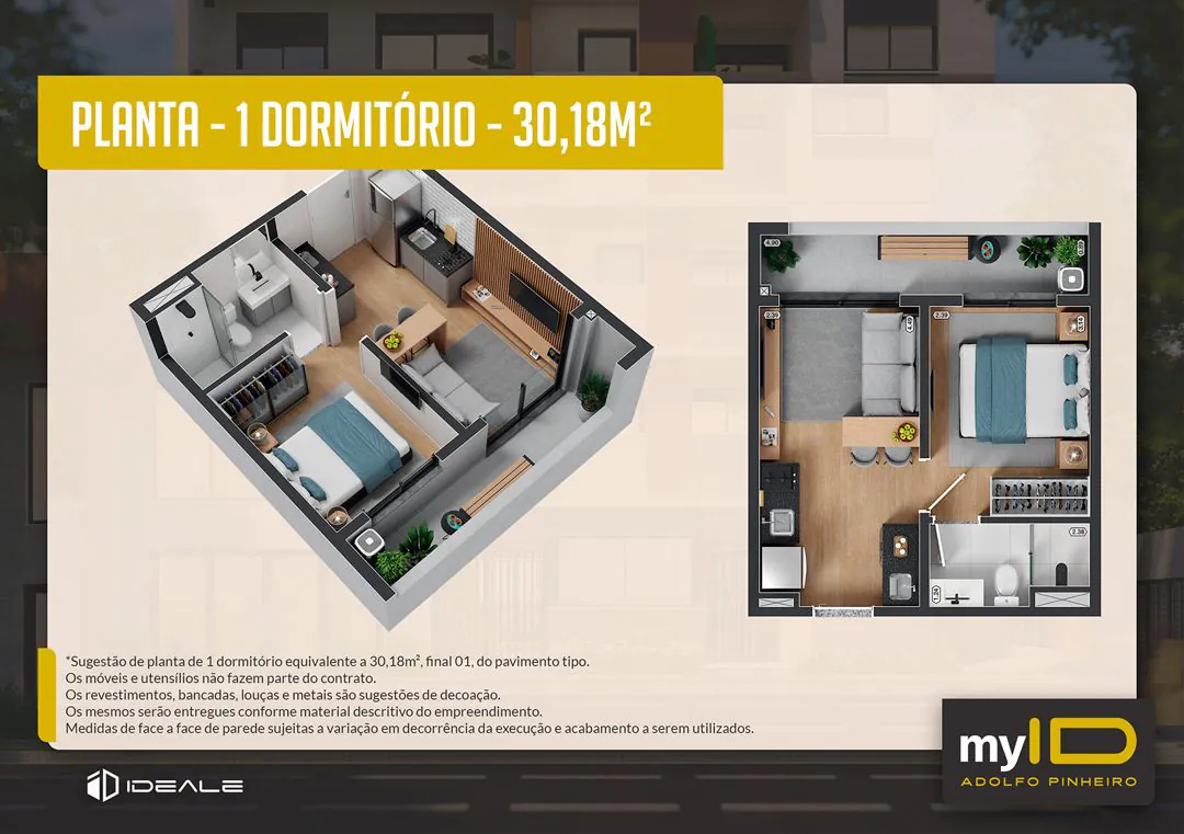 Planta31